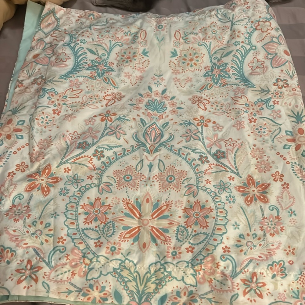 2-Matching King Size Pillowcases/Shams